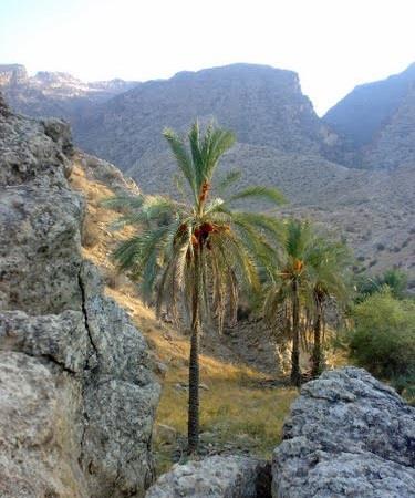منطقه شكار ممنوع كوه هوا و تنگخور-7Je2FXSQnx