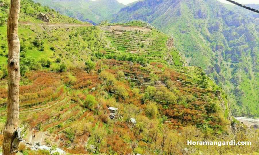 روستای شركان-7O88XeNGUy