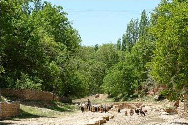 روستای استاد-7SHG6ynvuQ