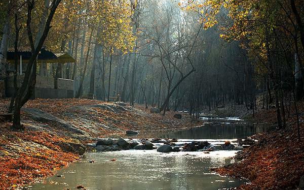 پارك جنگلی وكیل آباد-7SVa7xXb9A