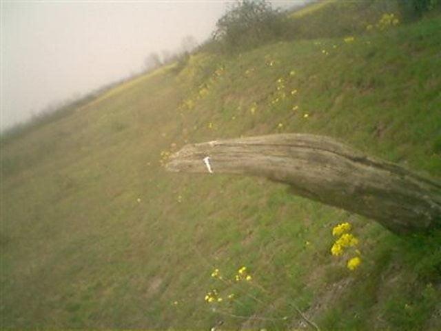 روستای چاف چمخاله-7b3c1R6QVP