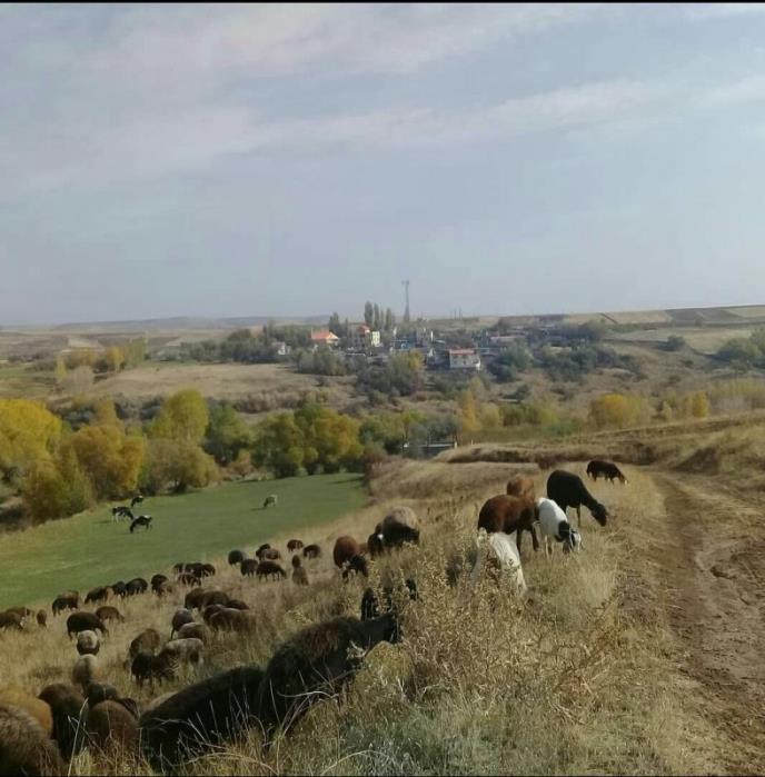 روستای عین آباد هشترود استان آذربایجان شرقی, هشترود-7eFY9cR629