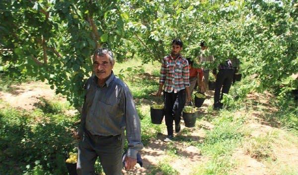 روستای فراغه ابركوه-7i23zL2ddt