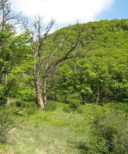 روستای قرن آباد-7ibaYO5MzZ