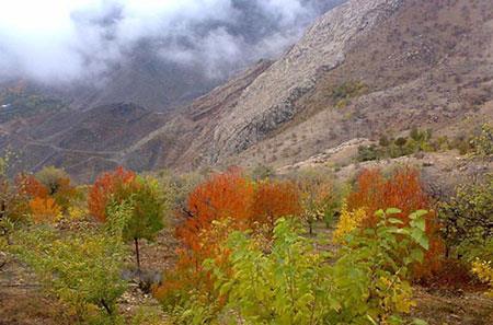 جاذبه های گردشگری اطراف تهران-7lZfml0XLJ