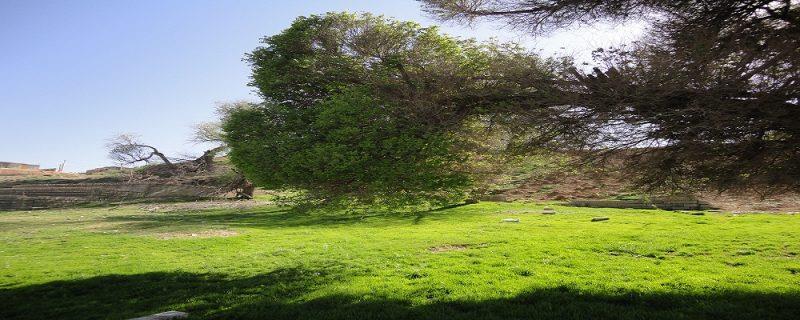 روستای رودبال-7mvpDdT3ju