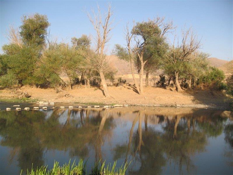 رودخانه سقز-7phV3X8129