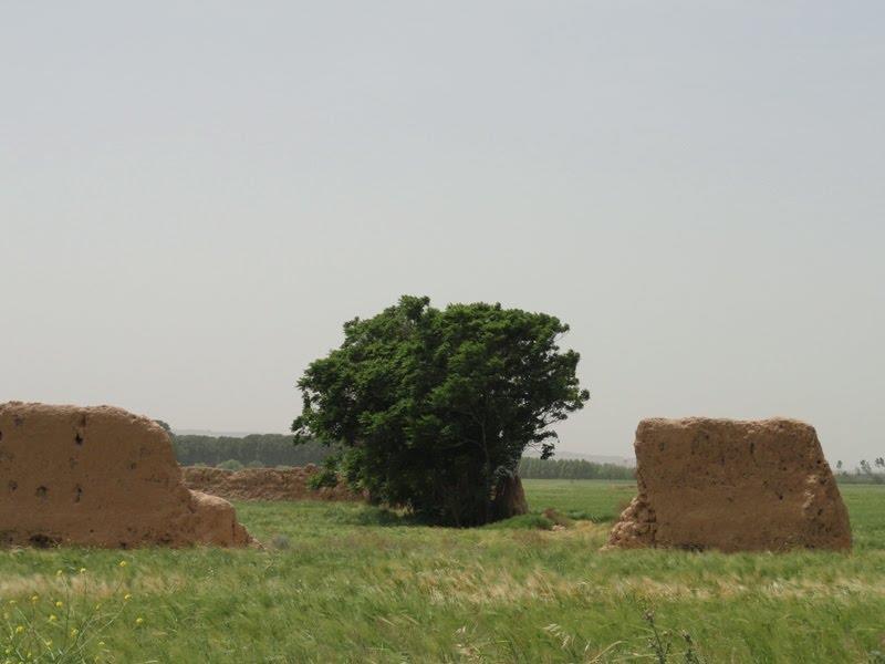 روستای شكر آباد تهران-7q17Nh7DOL