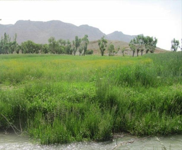 روستای اسفرجان-7shpMGMZsi