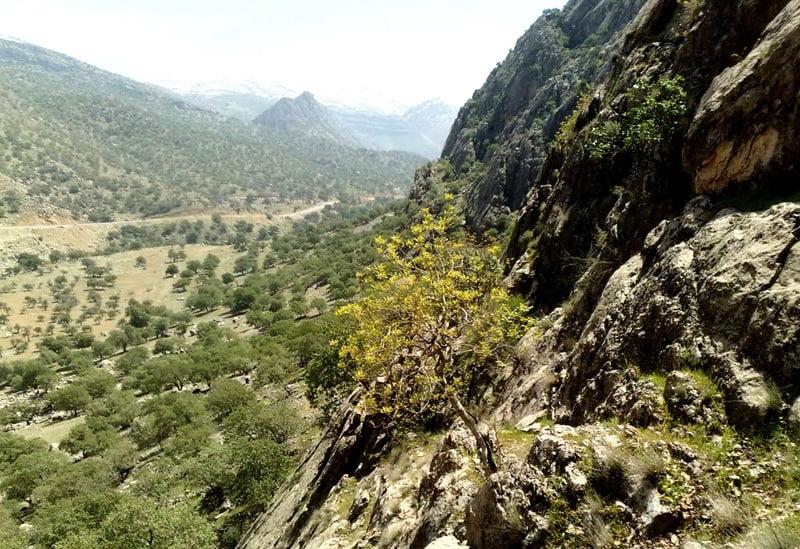 تنگ بوان نورآباد استان فارس, نورآباد-826cAhfbR9