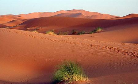 راهنمای سفر به مراكش-85MD9zrr9C