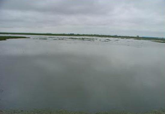 منطقه شكار ممنوع تالاب پته خور-87FzEKp7bK