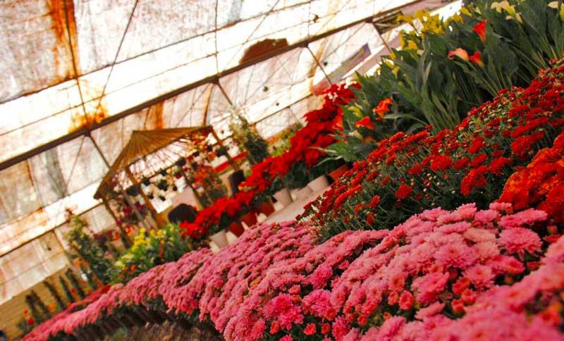جاهای دیدنی محلات در بهار-8IbFIaaKNP