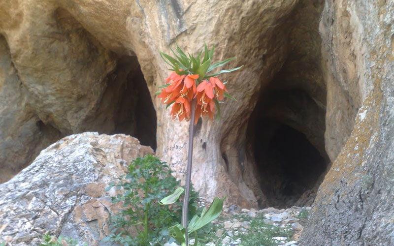جاهای دیدنی اراك ( ۲۰ جاذبه گردشگری )-8JYMjwMyms