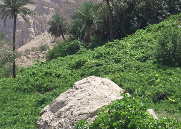 تنگ تكاب-8McpgqN8PL