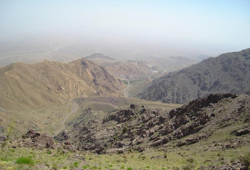 منطقه حفاظت شده كوه شیر-8QrVIrtwZb