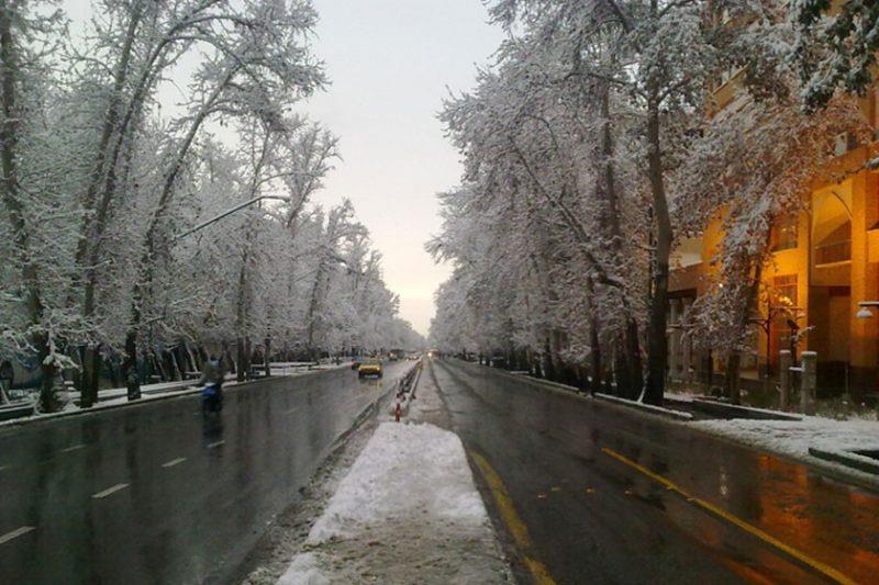خیابان ولیعصر تهران ، بلندترین خیابان ایران و خاورمیانه-8eZdcA1GnT