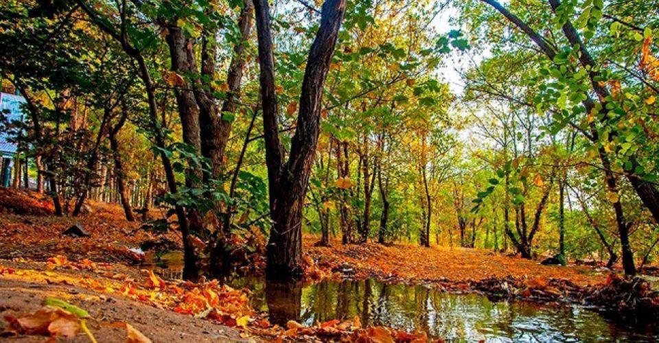 مكانهای مناسب اطراف تهران برای پیك نیك-8geb2id9NC