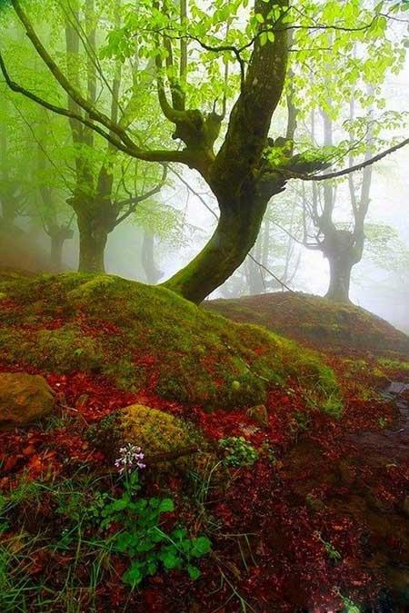 پارك بسیار زیبا و اعجاب انگیز در اسپانیا-8ilO7zR1K3