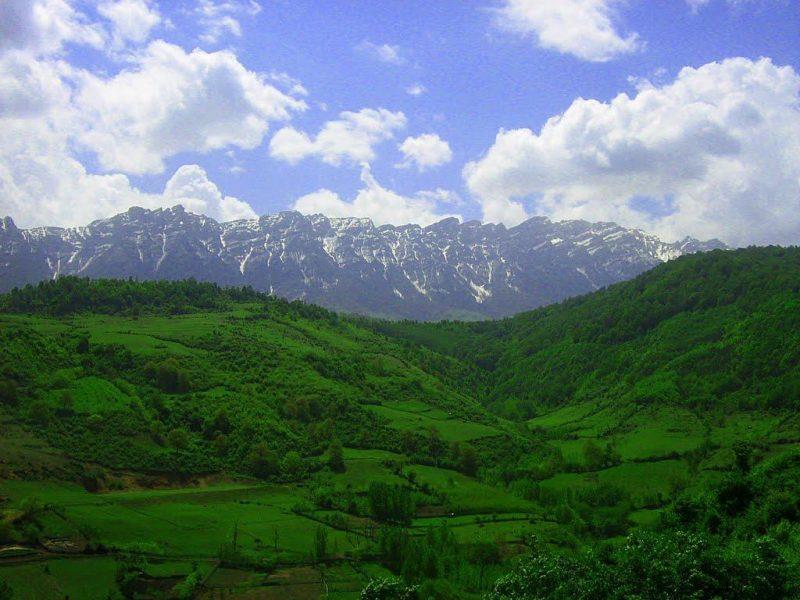 جنگل پاجی دودانگه-8lqlnGFWIL