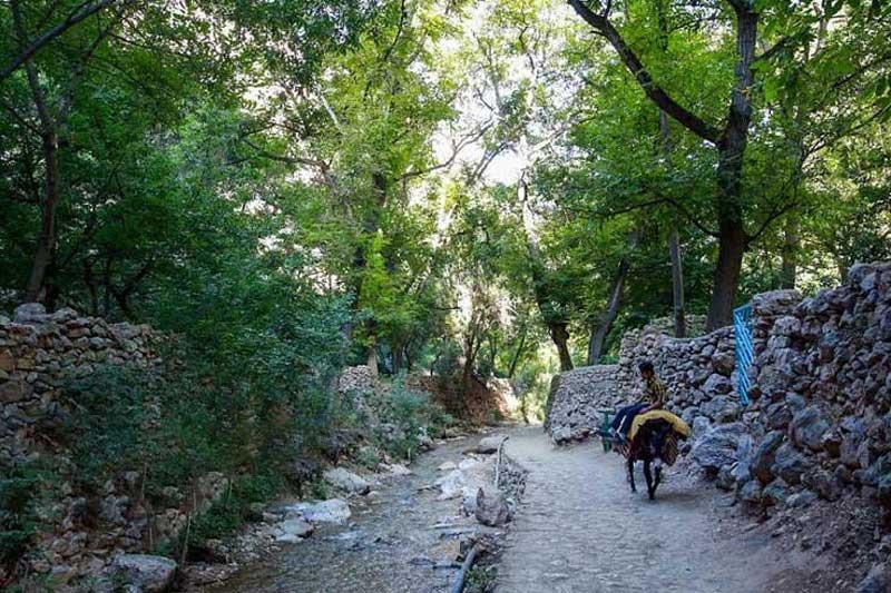 روستای اخلمد-8ttZ5MXuCW