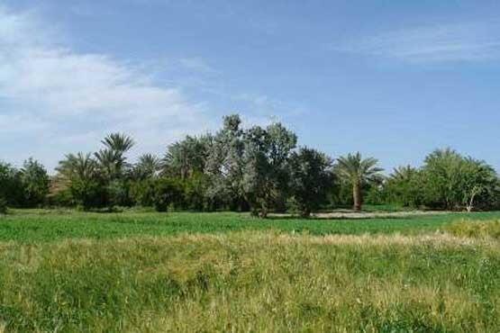 كارواندر ، قطب گردشگری خاش-98jHtCykmg