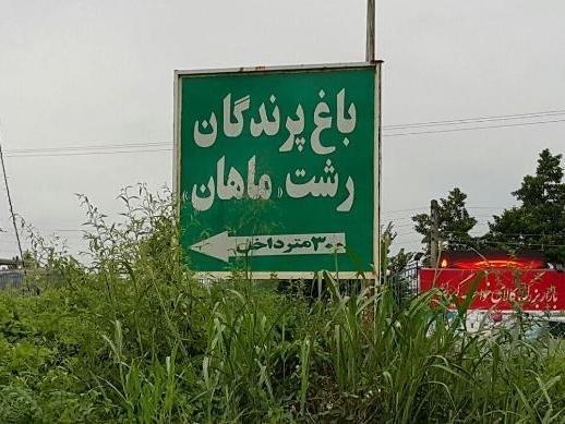 باغ پرندگان ماهان رشت-9J1mSPGeux