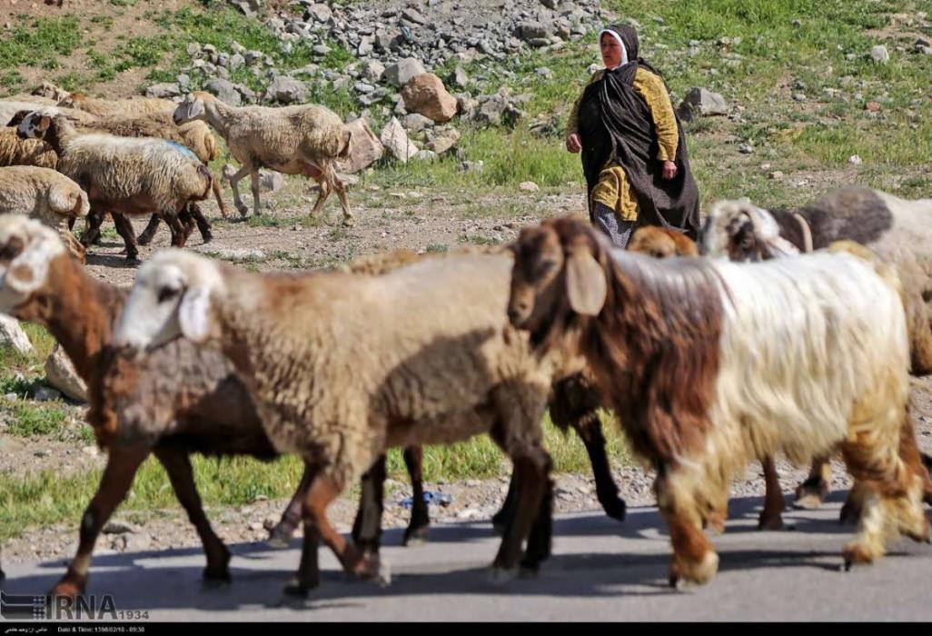 دهكده نساجی سنتی ایران-9MvRuwkLJ7