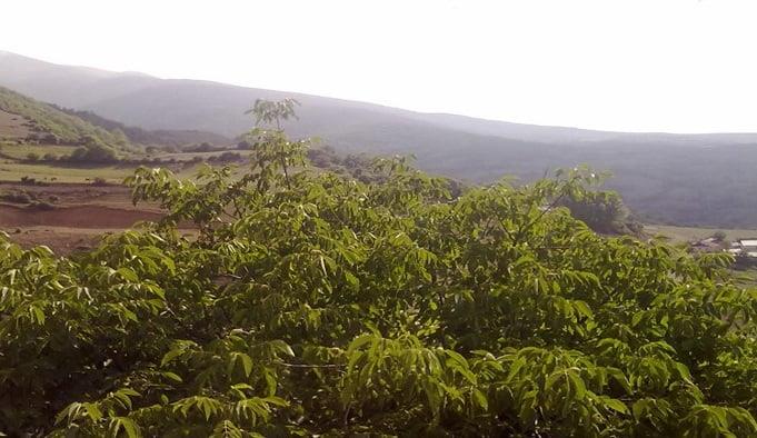 روستای ورازان-9YYRJ4dOhd