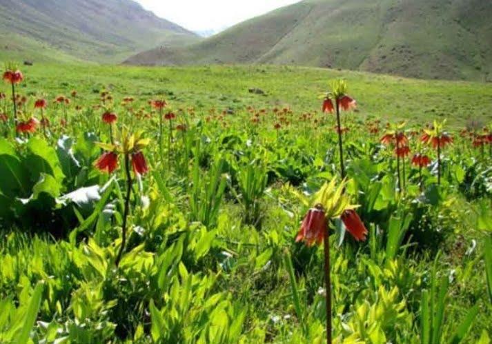 دره نی گاه دورود-9ahWNqGqwM
