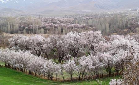 كم هزینهترین شهرهای ایران در نوروز-9c7RwTzCwW
