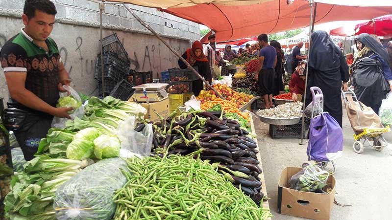۱۰ جای دیدنی بوشهر در تعطیلات نوروز-9gzOR4gM2m