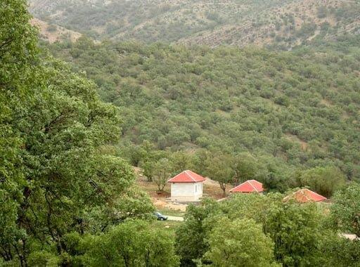 پارك بزرگ كوهستان یاسوج ، وسیع ترین پارك جنگلی جنوب كشور-9orHWBXwLa