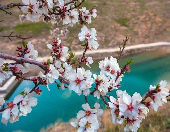 منطقه گرشگری گردو-9w9GY4Zryw