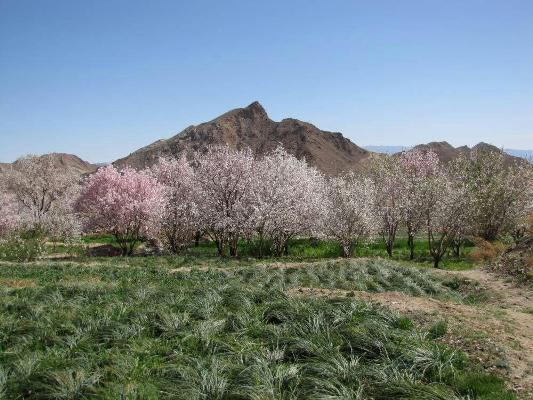 روستای سنگی باجگان بافق-A2VPPaiZiw