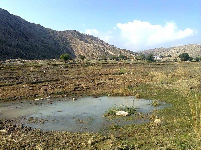 روستای كناره-A6Rrpl5RDO