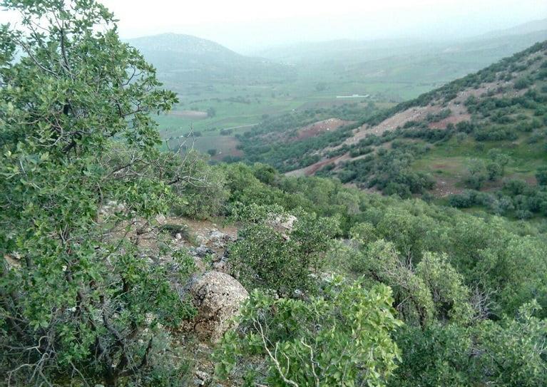 روستای سرخك سنجابی-A8WMcutA6n