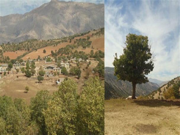 روستای حوری آباد-ADrygaeYJk