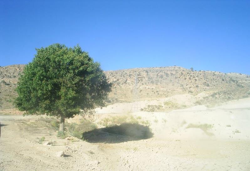 منطقه شكار ممنوع كوه هوا و تنگخور-AFMJMX3NTQ