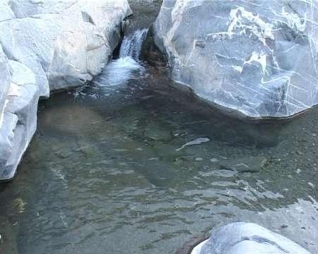 چشمه آبگرم شیرآباد-AFfGsTuq8l