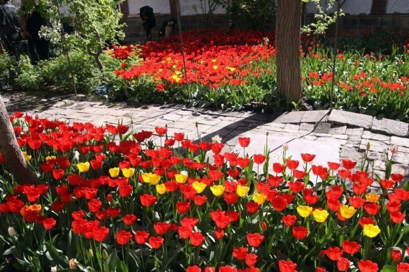 خانه لاله ای تبریز-AJDJjPkZmN