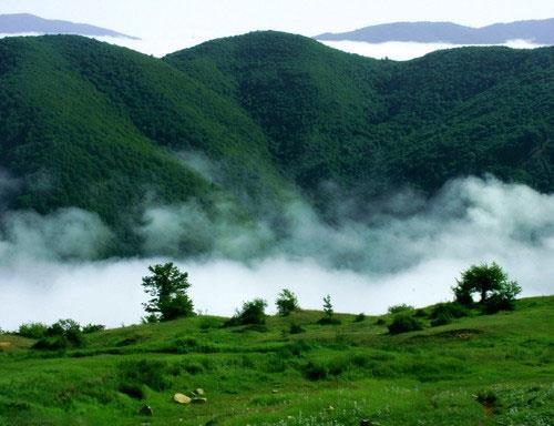 جنگل ابر ، بر روی ابرها قدم بزنید!-AKP8aASsfI
