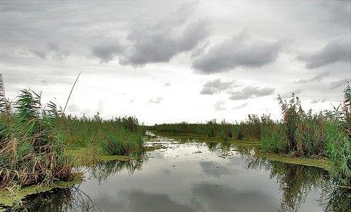 رودخانه شاخزر-ATPmiuImym