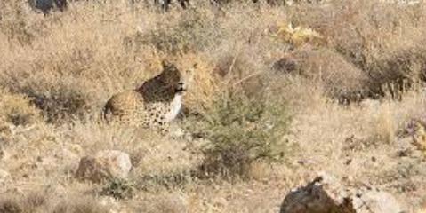 پارك ملی بمو ، طبیعتی حفاظت شده با حیوانات نادر-AVVwi9oDFq