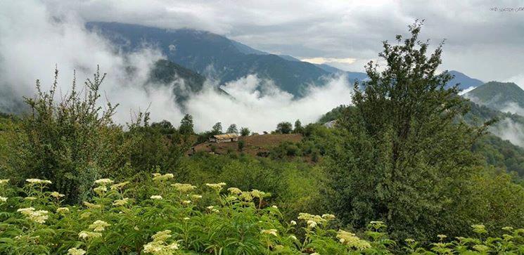 روستای گزناسرا چمستان-AatXdYS07X
