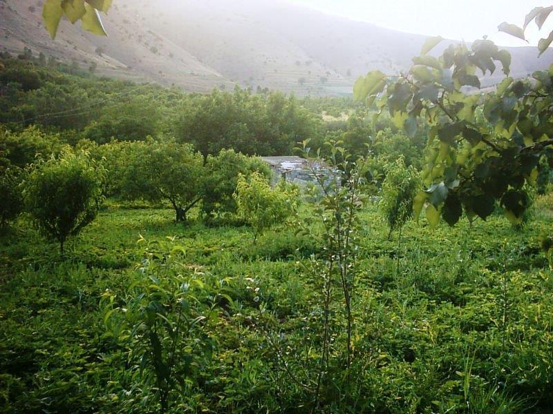 روستای چناره-Ag3EMBtcGW