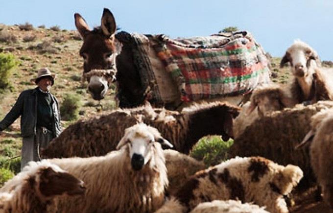 روستای آب ملخ-AhLtkFCTa2