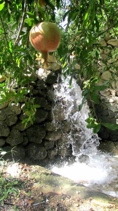 روستای نوایگان-AqZQ3cnYKo