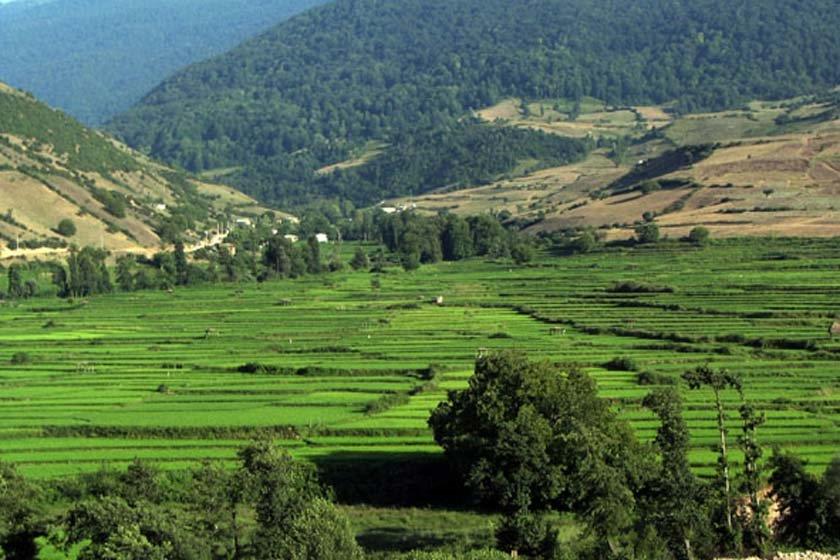 روستای چناربن زارم نكا-AzlkiAxYZa