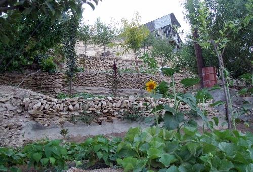 روستای وفس-BBPvZXRXD1